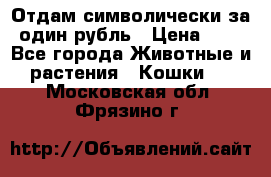Отдам символически за один рубль › Цена ­ 1 - Все города Животные и растения » Кошки   . Московская обл.,Фрязино г.
